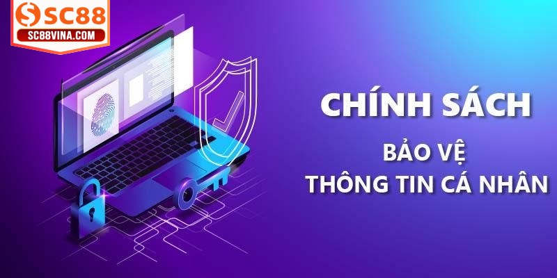 Xử lý mọi hành vi vi phạm chính sách nghiêm và công bằng