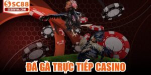 Đá Gà Trực Tiếp Casino