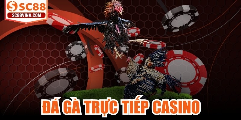 Đá Gà Trực Tiếp Casino