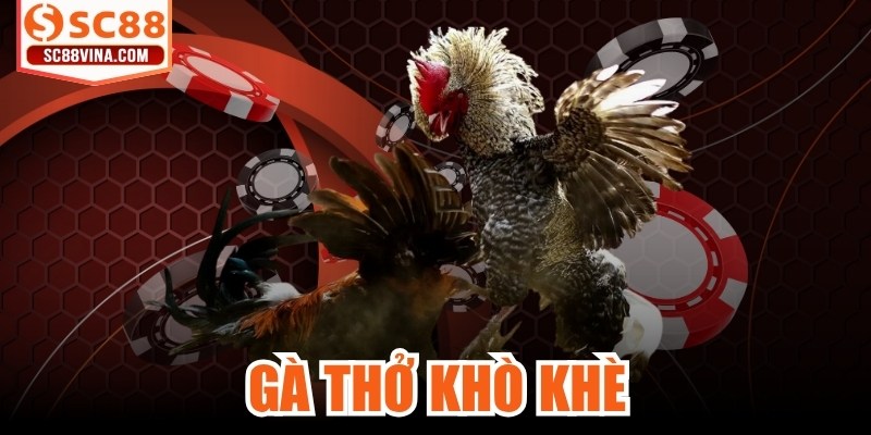 Gà Thở Khò Khè