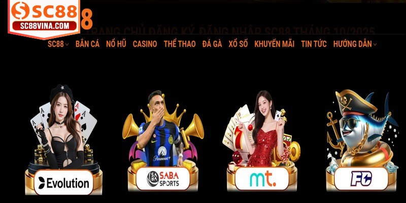 Tập trung bảo vệ thông tin cá nhân người chơi khi cá cược online