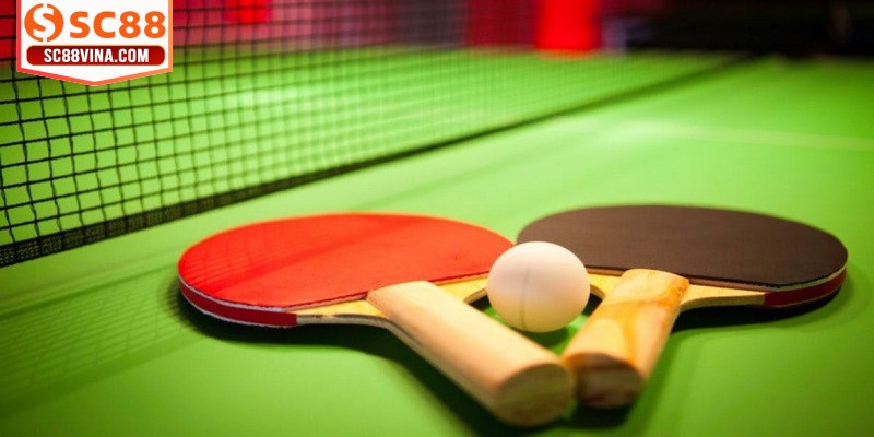 Quy định đánh bóng đang áp dụng trong mọi trận đối đầu diễn ra