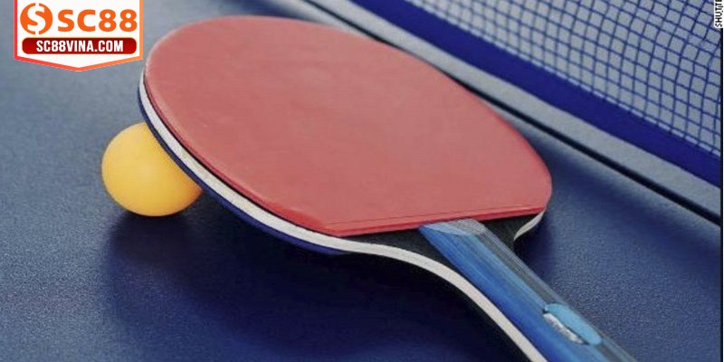 Một mẹo quan trọng trong cá cược bóng bàn là tập trung vốn