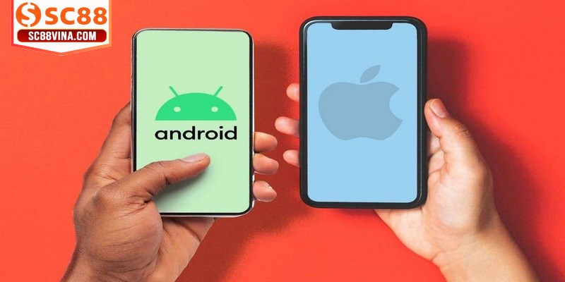 Phải đảm bảo đường truyền kết nối internet ổn định khi cài đặt