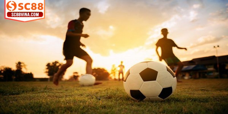 Giữ vững sự bình tĩnh khi đặt cược, không để cảm xúc lấn át lý trí