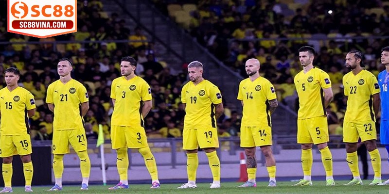 Tỷ lệ kèo Malaysia đang trở thành lựa chọn phổ biến hàng đầu