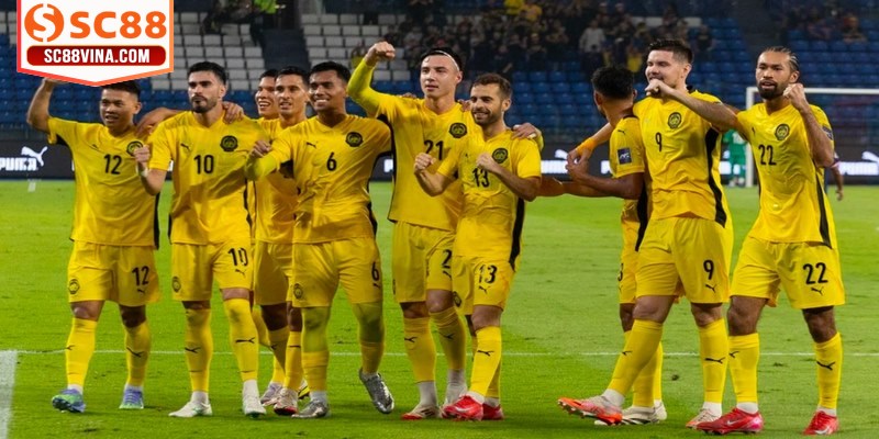 Tỷ lệ thường được biểu diễn dưới dạng số dương hoặc số âm